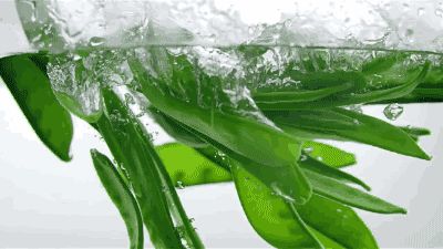 蔬菜學(xué)博士媽媽支招 讓孩子愛(ài)上吃菜的秘訣與蔬菜趣味科普