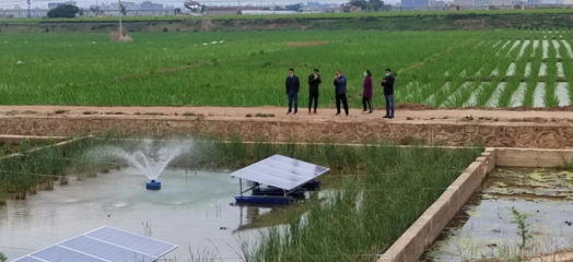 陸良縣強化養(yǎng)殖尾水治理，推動內陸水產養(yǎng)殖綠色可持續(xù)發(fā)展