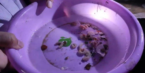 威海市推進(jìn)水產(chǎn)健康養(yǎng)殖 示范場(chǎng)驗(yàn)收與原良種場(chǎng)考察并舉，助力內(nèi)陸水產(chǎn)養(yǎng)殖銷售提質(zhì)增效