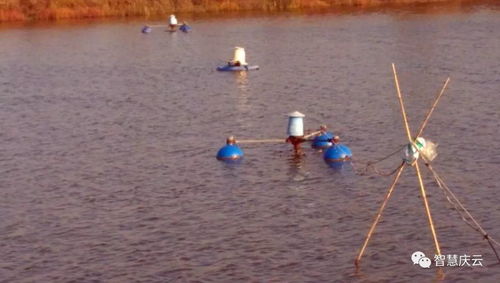 慶云海天水產養殖榮膺省級健康示范場，探索內陸水產養殖與銷售新路徑